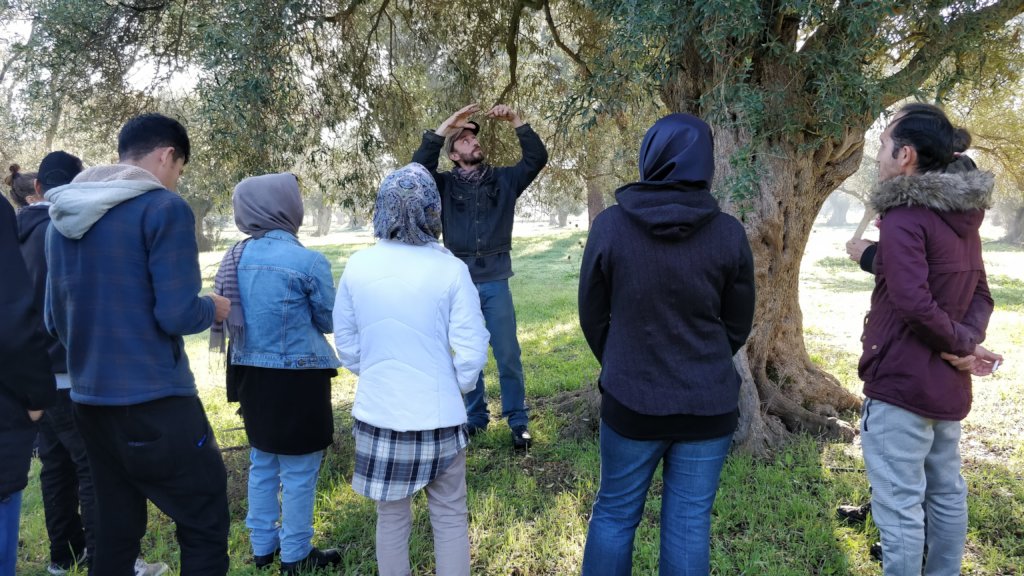 Integration Through Permaculture