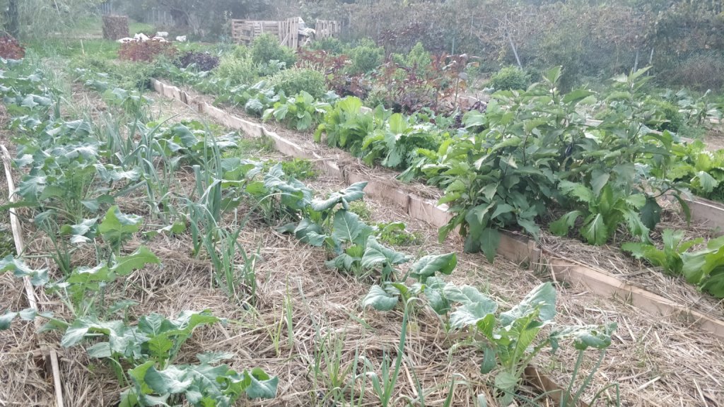 Integration Through Permaculture