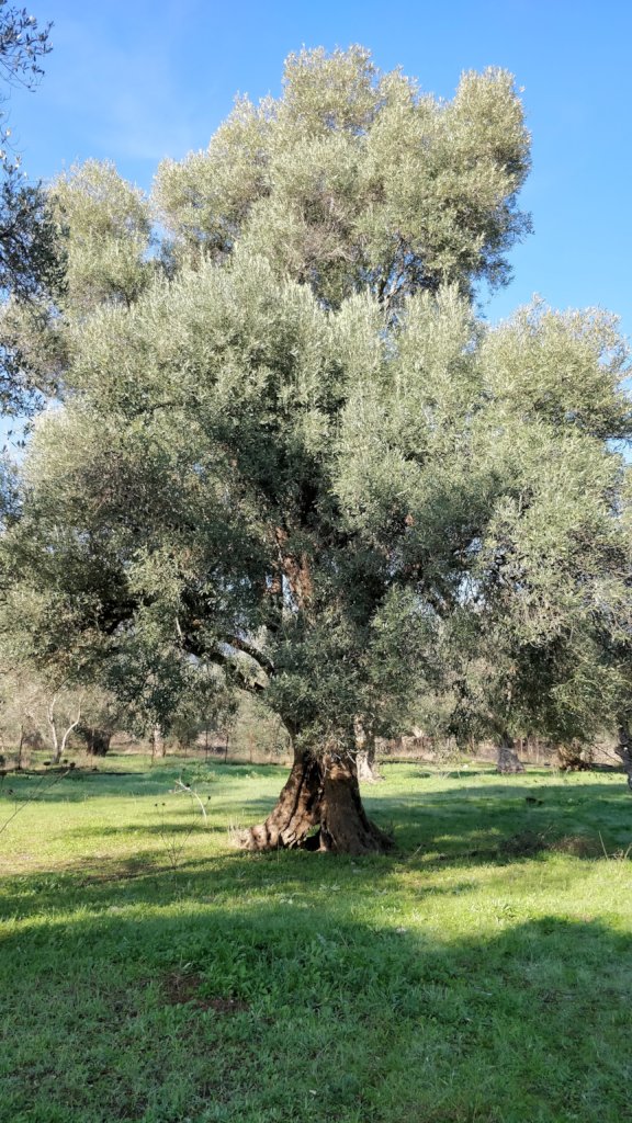 Integration Through Permaculture