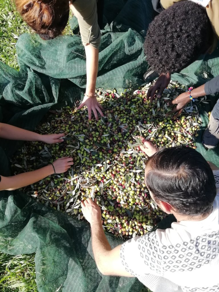 Integration Through Permaculture