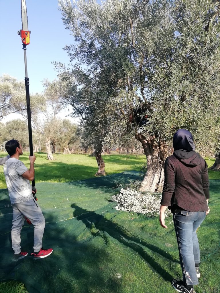 Integration Through Permaculture