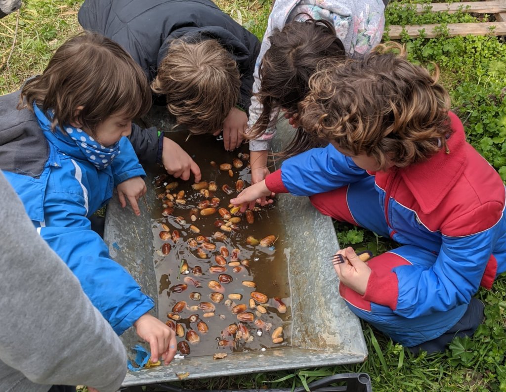 Integration Through Permaculture