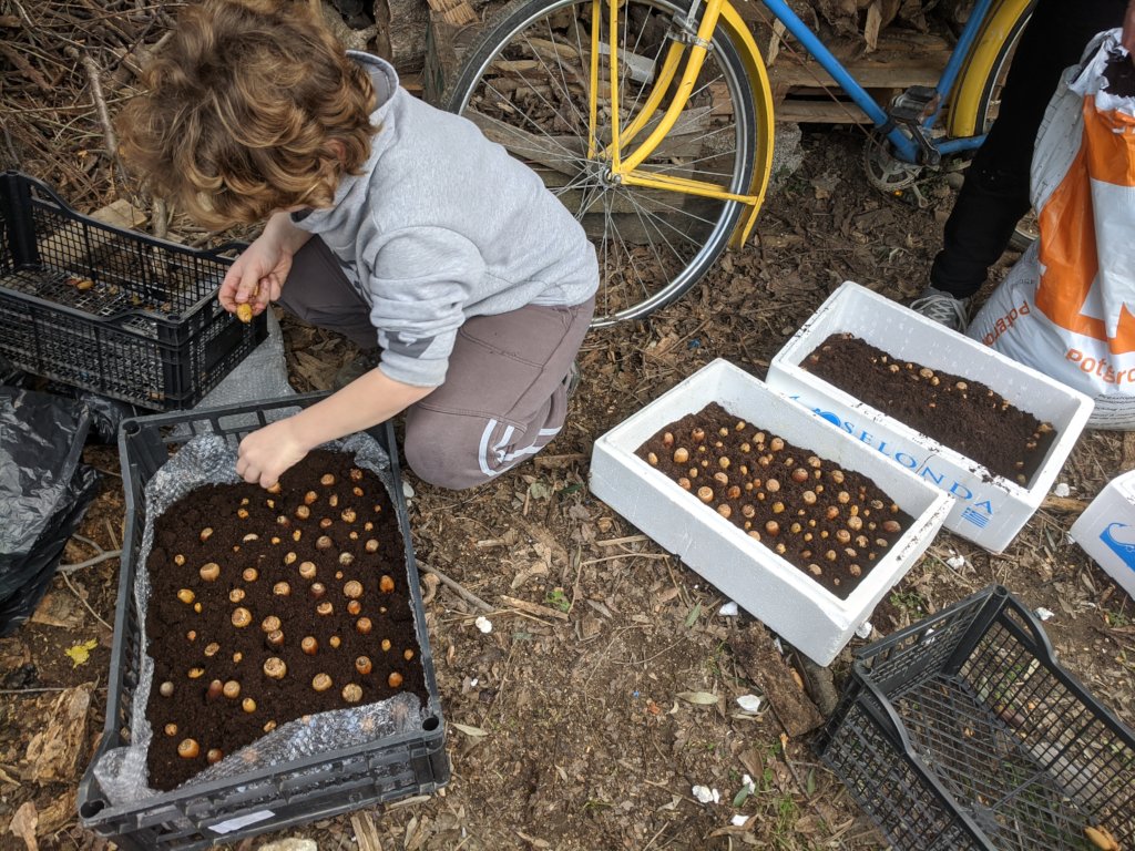 Integration Through Permaculture