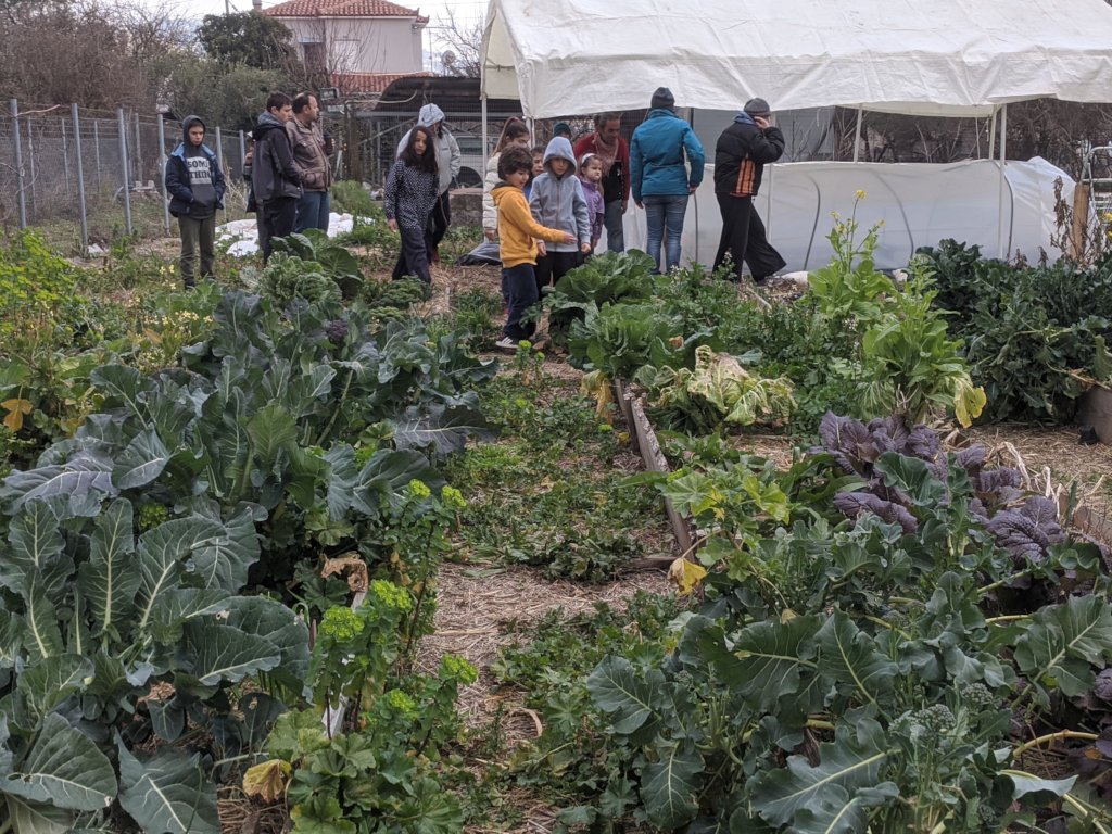 Integration Through Permaculture