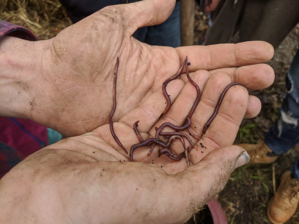 Integration Through Permaculture