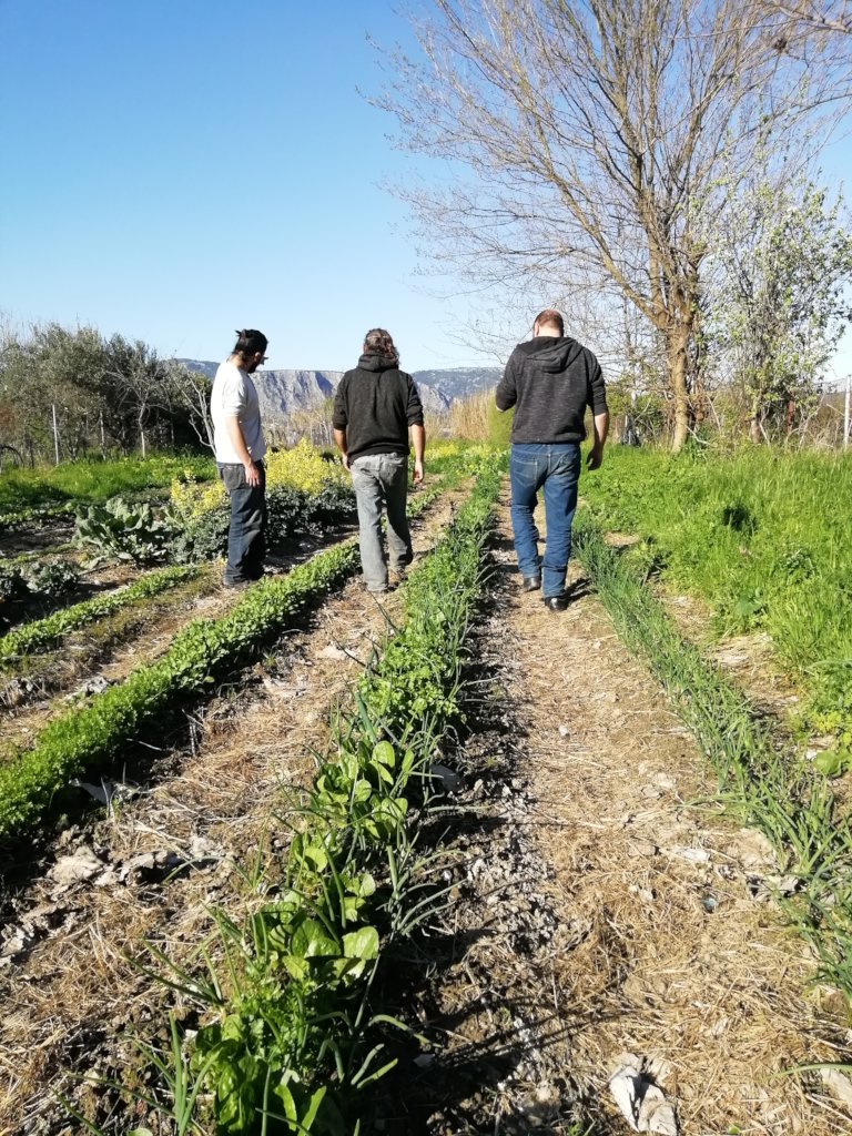 Integration Through Permaculture