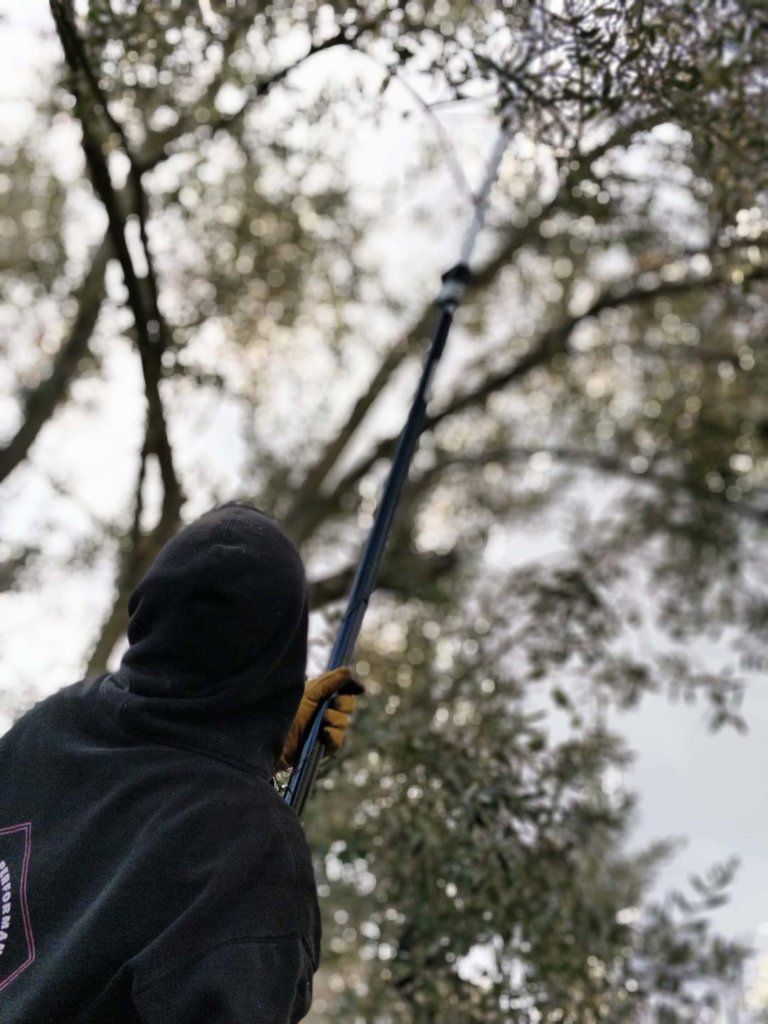 Integration Through Permaculture