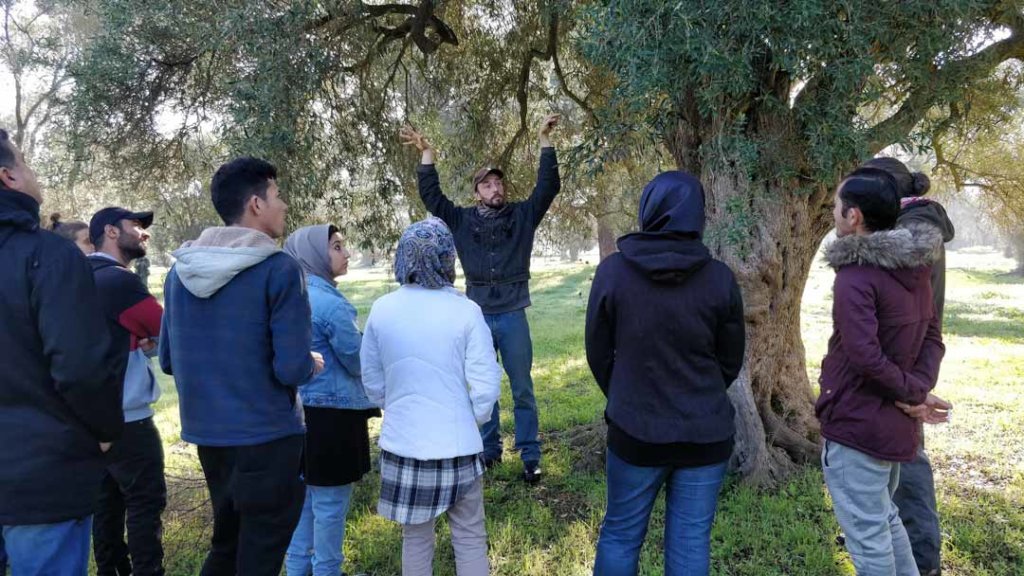 Integration Through Permaculture