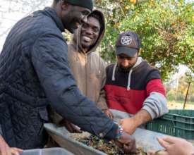 Integration Through Permaculture