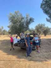 The late summer team