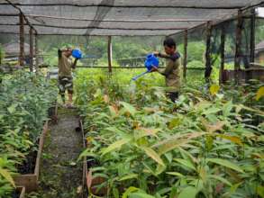 Community nursery member during maintenance