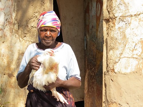 Ensure Comfort for Grandmothers