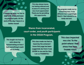 Qualitative shares from Y4C programs