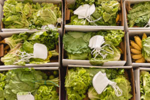 The organic baskets we distributed to participants