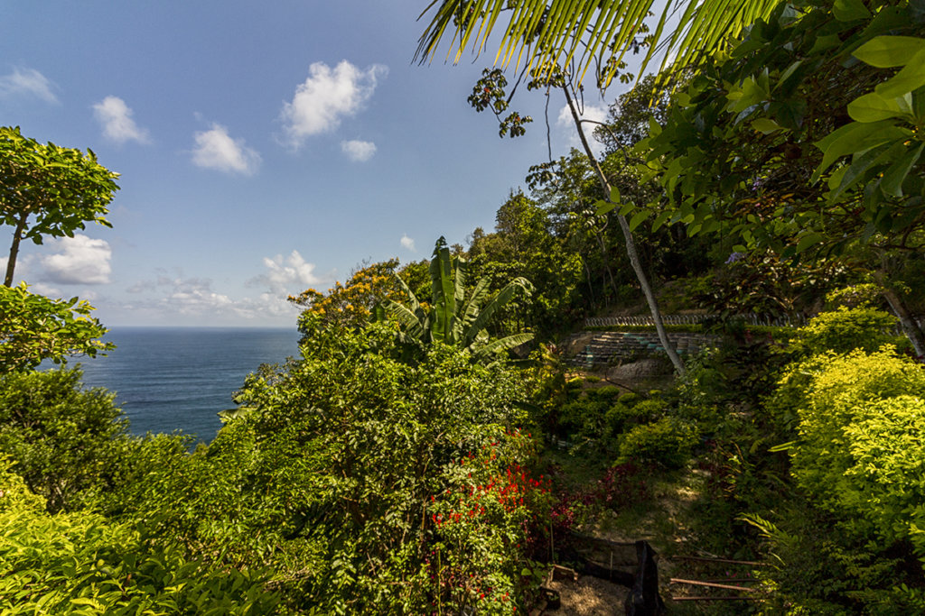 Organic food & education for families in Rio slum
