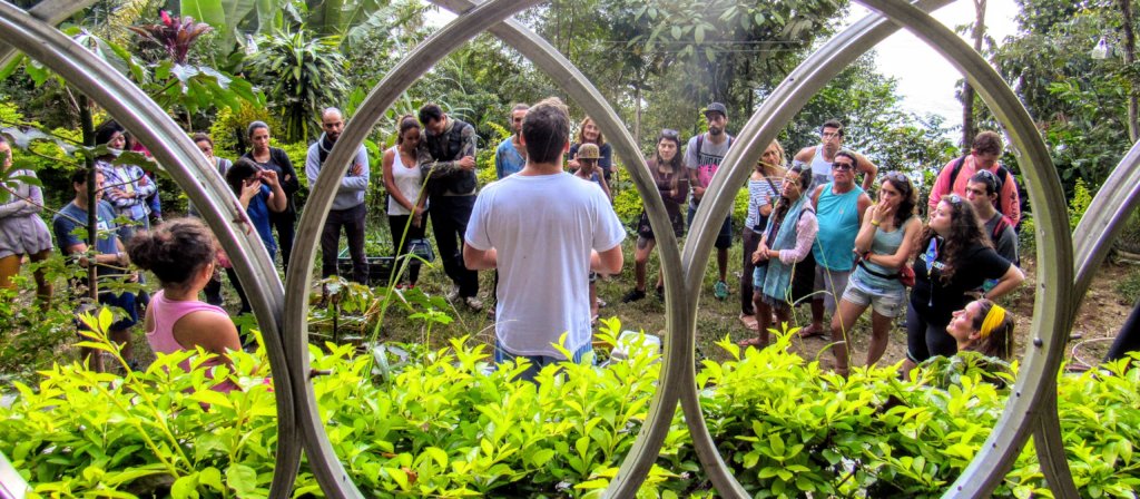 Organic food & education for families in Rio slum