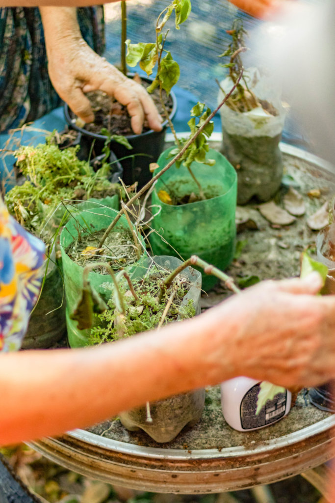 Organic food & education for families in Rio slum