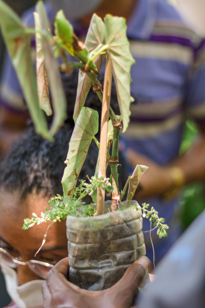 Organic food & education for families in Rio slum