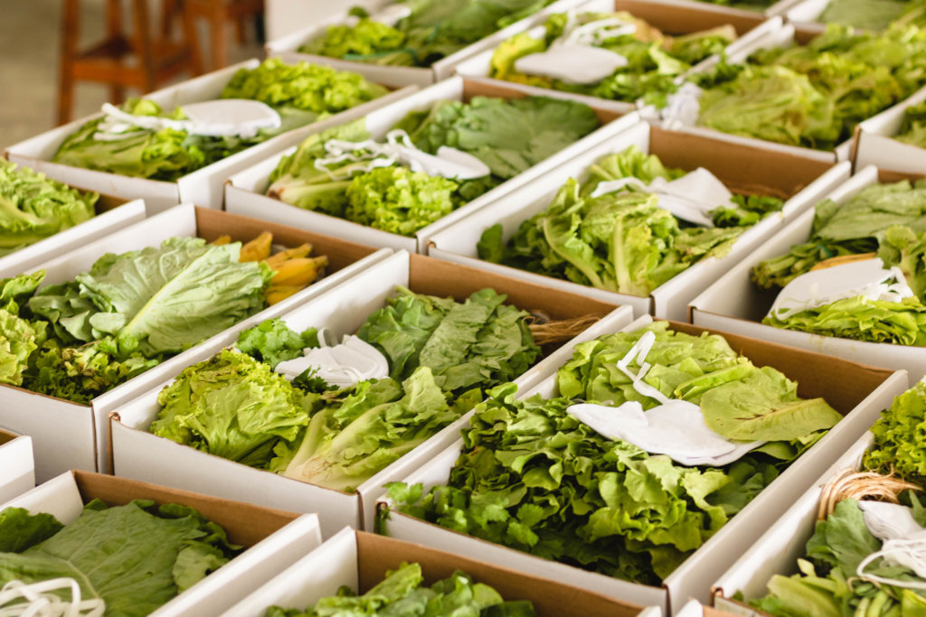 Organic food & education for families in Rio slum