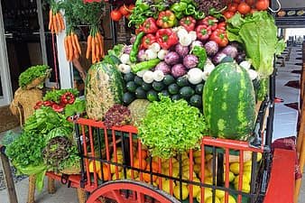 COVID relief for women: food carts  in Tamil Nadu