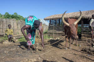 Refugee Mom Buys "Cash Cow"