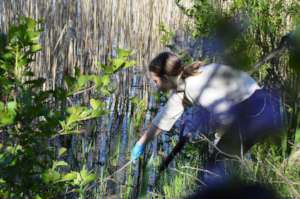 cleaning the river