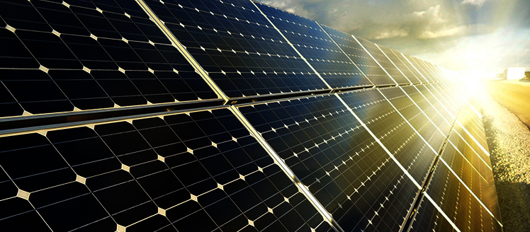 Build Sustainability Skills of Ten African Leaders