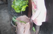 feed 88 young homeless orphans