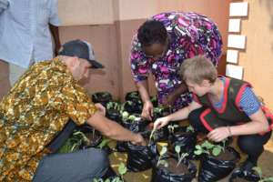 Training Communities