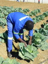 Youth learn conservation farming methods