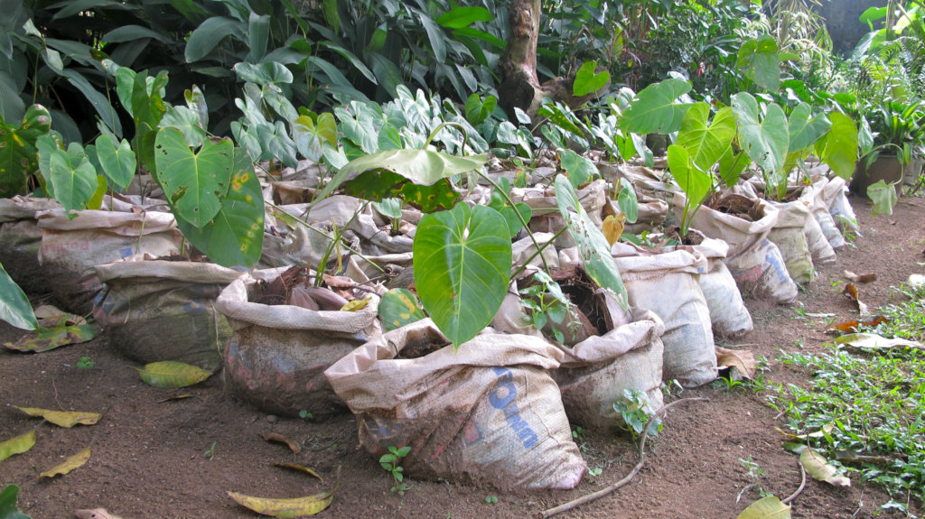 Empower Communities to Adapt to Climate Change