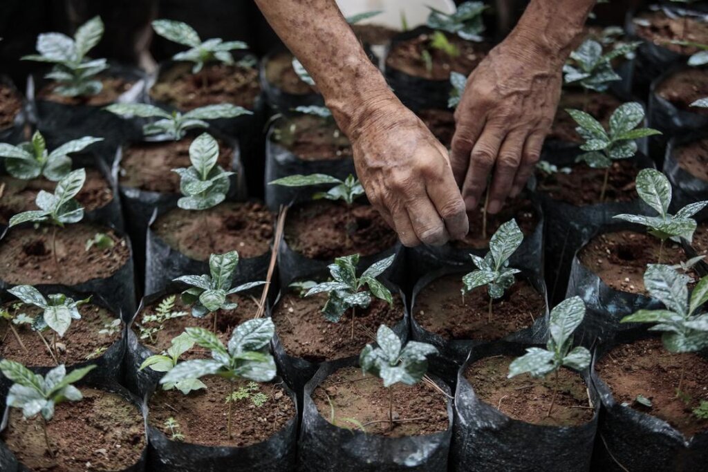 Empower Communities to Adapt to Climate Change