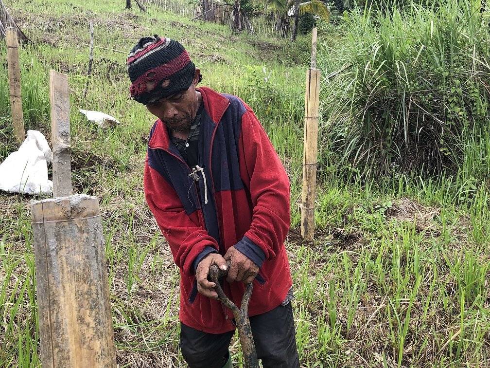 Mushroom production for income and nutrition