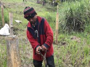 Mushroom production for income and nutrition