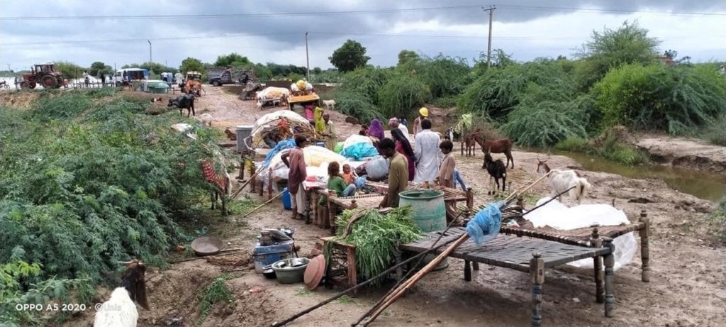 Fund for Sindh Rain Flood 2020 Affected Families