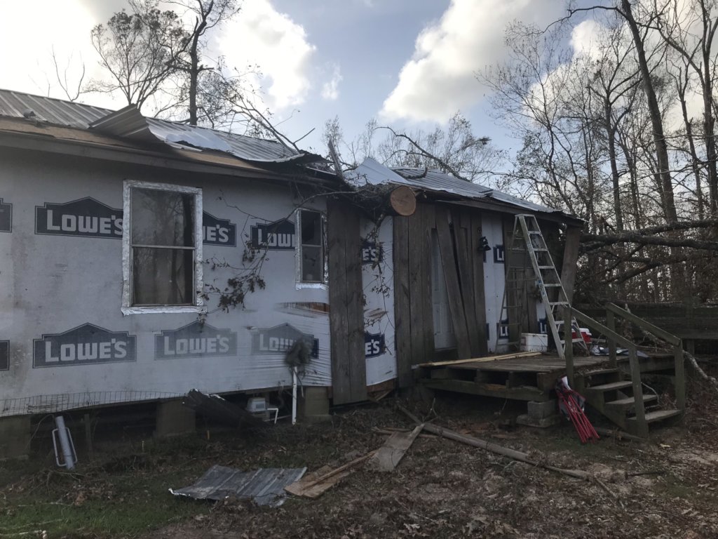 Tree damage