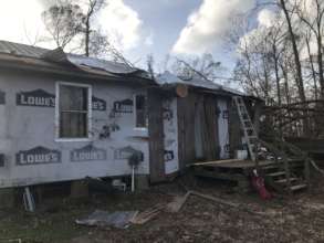 Tree damage