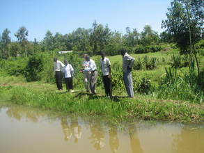 fish pond