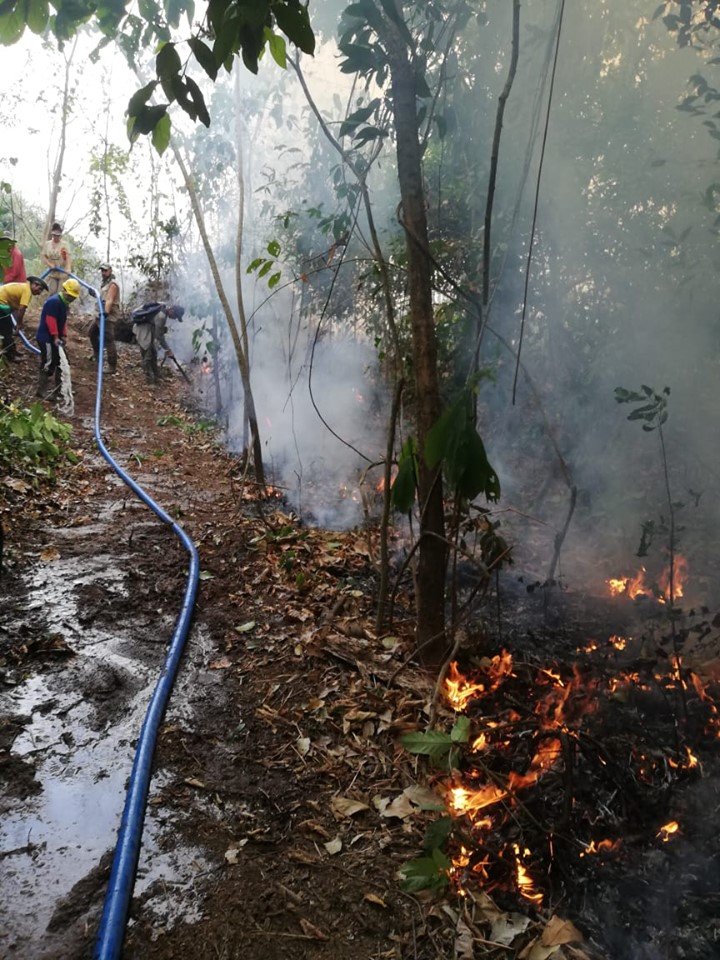 Protect CIWY's Wildlife Sanctuaries from Fires