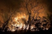 Protect CIWY's Wildlife Sanctuaries from Fires