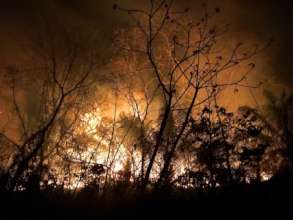 Protect CIWY's Wildlife Sanctuaries from Fires