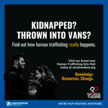 Visit the Info Hub on our website