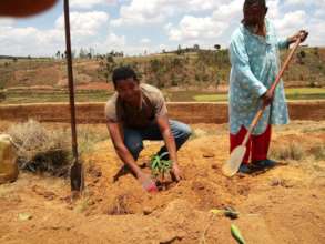 Planting Fruit Trees at NY DINA in Madagascar