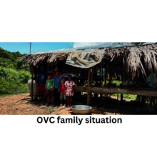 Child family situation