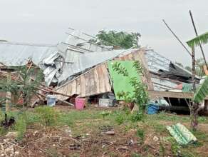 Disaster impacts
