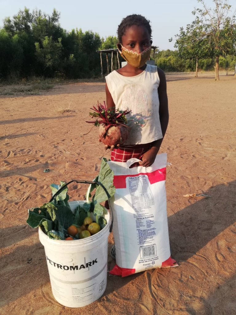 Providing food baskets to students in Mozambique