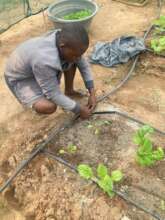 Drip Irrigation System