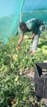 From garden to table, nourishing lives