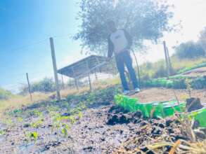 Careful water management helps us grow food