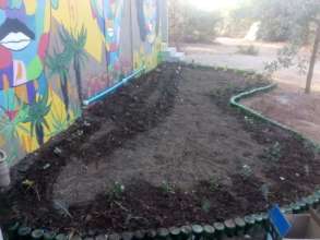 Our grey water garden being laid out